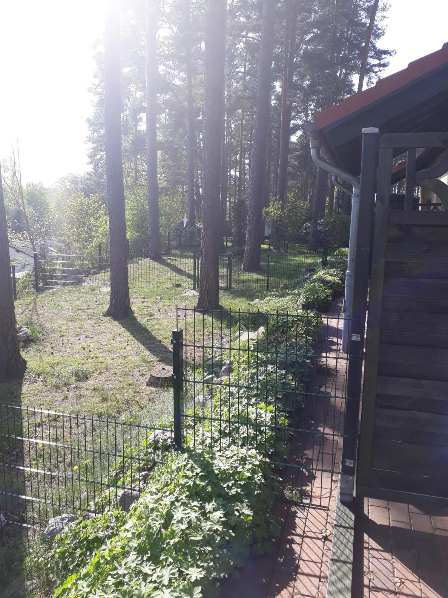 Ferienhaus Waldschneise B Am Jabeler See Bagian luar foto